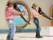 Евпатория Евпатория