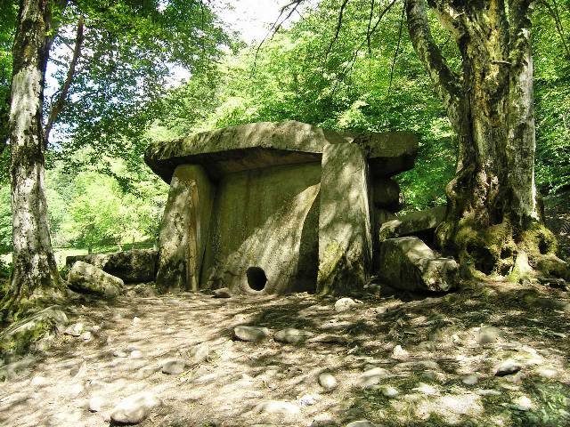 В лесу В лесу