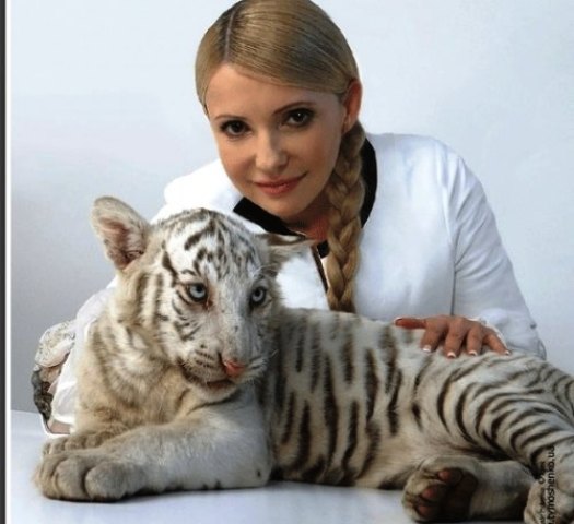 Юлия Тимошенко с тигром