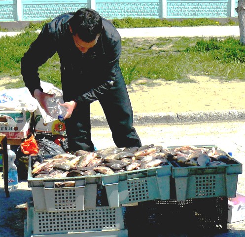 Евпатория ярмарка Евпатория ярмарка