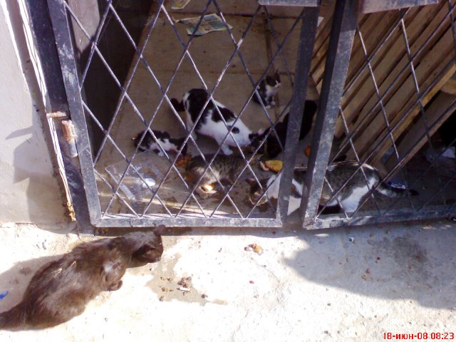 Евпатория Евпатория