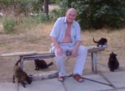 четыре черных кота четыре черных кота