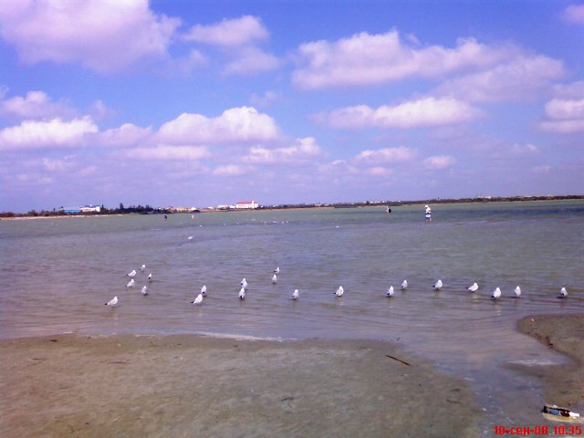 Евпатория Мойнаки Евпатория Мойнаки